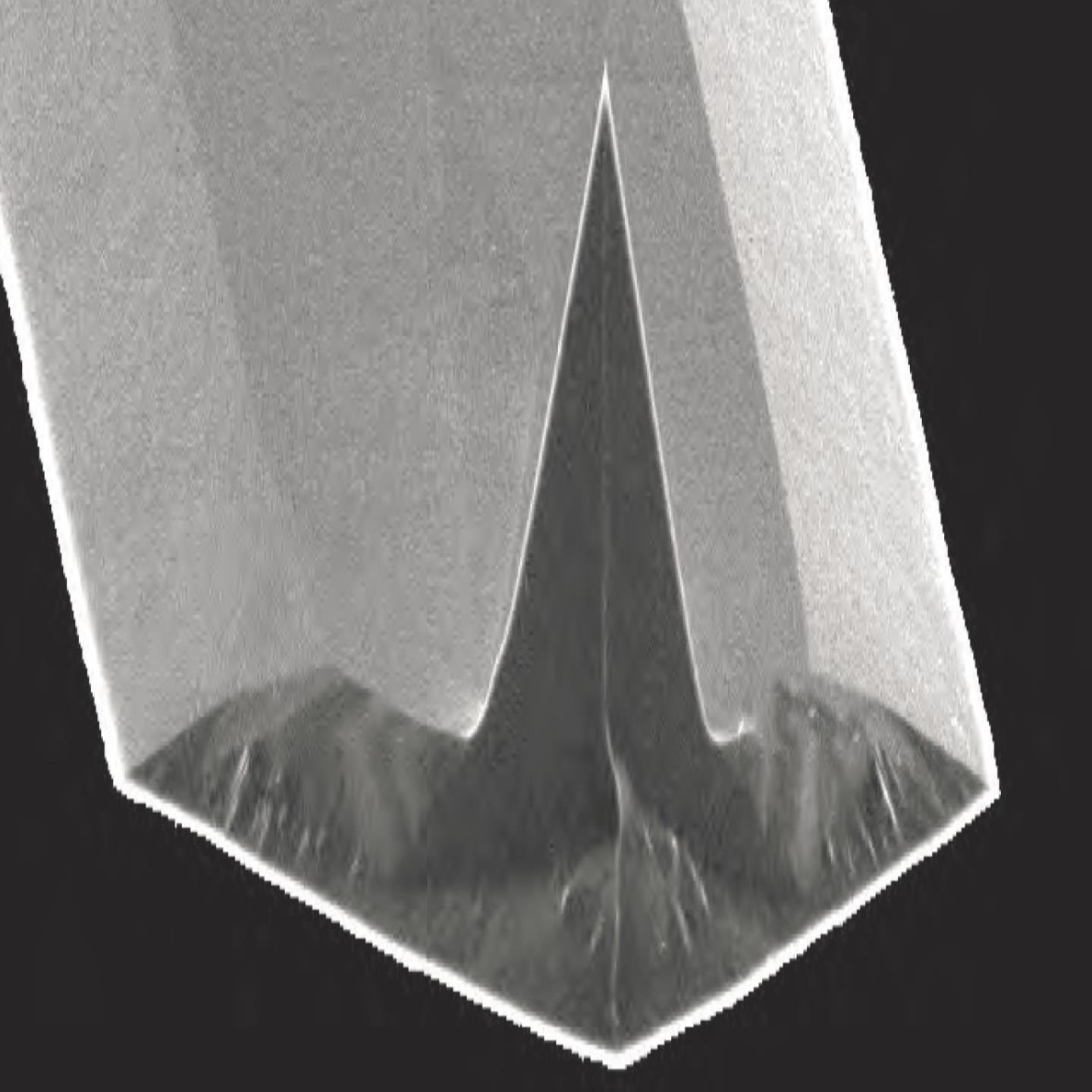 布鲁克Bruker 原子力显微镜AFM探针导电探针 RMN-25PT300B