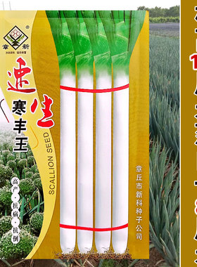 速生寒葱状元大葱种子 抗病耐寒高白铁杆山东章丘巨葱大葱种子籽