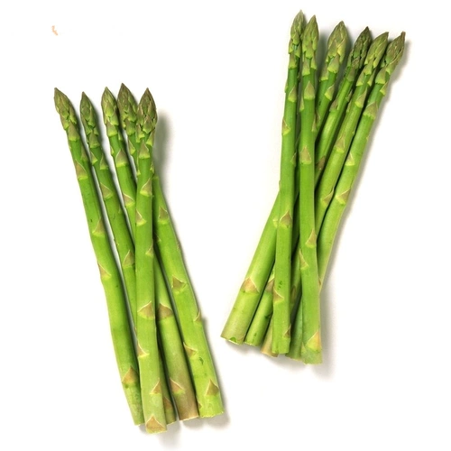 Семена бренда американского орла Семена многолетняя высокопоставленные Семена четыре сезона саженцев из спаржи. Фиолетовое лето, осень и зимнее блюдо