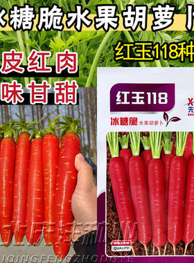 冰糖脆水果胡萝卜种子老品种