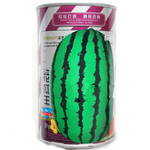 王大可达80斤优质甜美西瓜种子