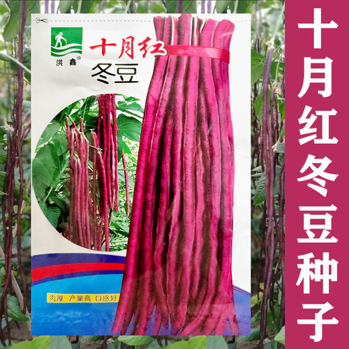 河北庆丰红冬豆早熟肉厚