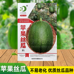 苹果丝瓜种子菜瓜种籽肉丝瓜圆丝瓜菜瓜籽种四季蔬菜菜孑菜种水瓜