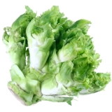 Специальные специальные продукты для семян детских семян детских растительных семян, четыре сезона, семена семян, куклы, семена горчицы, семена горчицы, овощи, осень и зима