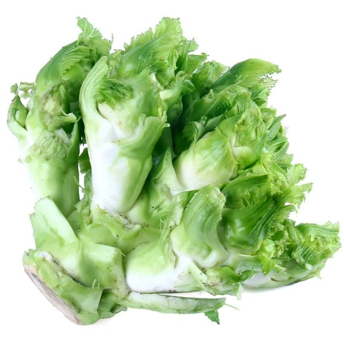 Специальные специальные продукты для семян детских семян детских растительных семян, четыре сезона, семена семян, куклы, семена горчицы, семена горчицы, овощи, осень и зима