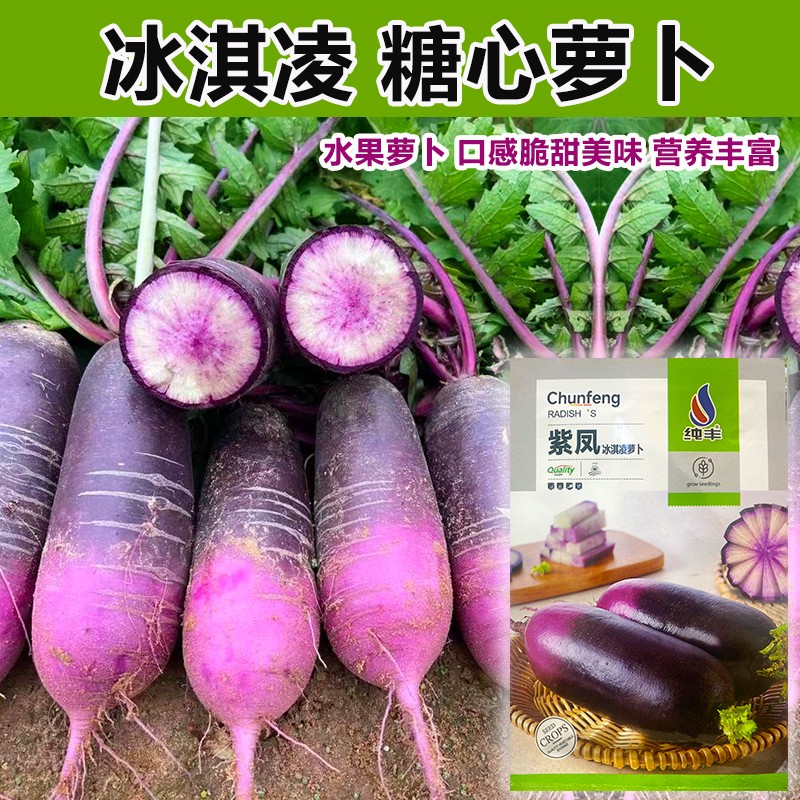冰激凌水果萝卜种子种籽紫皮冰淇