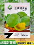 Ice Kirin Abrimelon Seedne Желто -сердце преждевременное подарок летняя дыня желтая мякоть семена плода тонкая кожа сад весна весна
