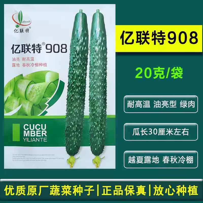 黄瓜种子亿联特908绿肉密刺油亮短把黑绿青瓜种籽春秋夏季耐高温