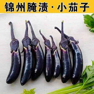 腌渍小茄子种子小拇指茄子籽腌渍咸菜专用春季菜籽腌制小黄瓜种子