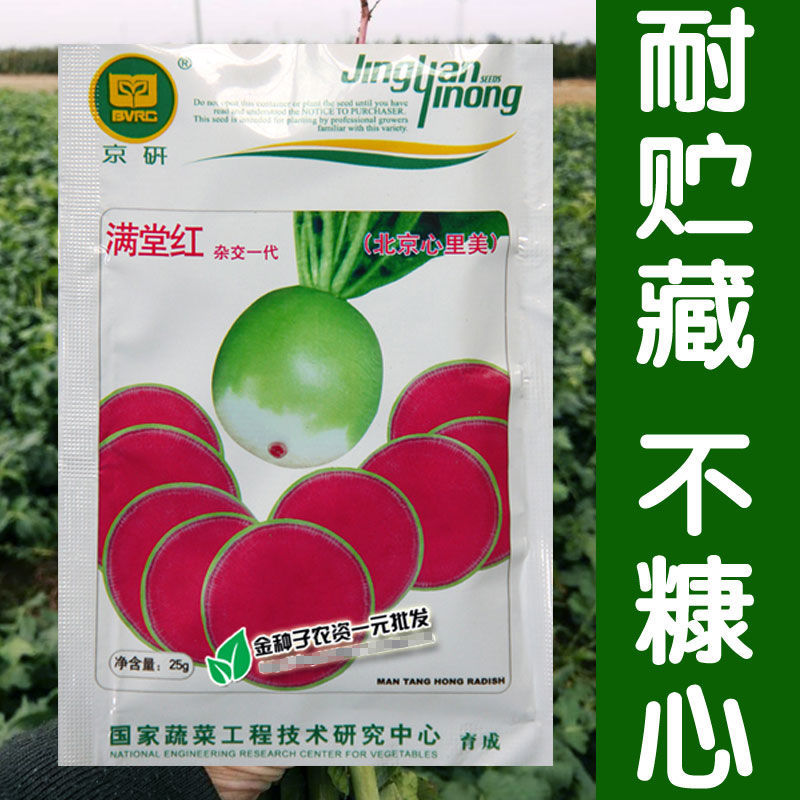 蔬菜满堂红水果萝卜秋季种子图片