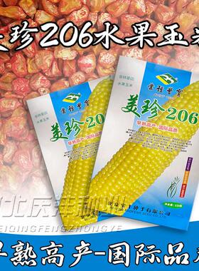 美珍206甜玉米种子春夏秋黄色大棒早熟矮生超甜水果玉米种子爆浆