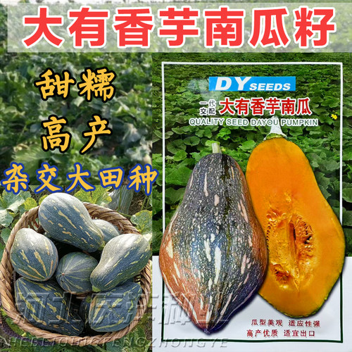 香芋南瓜种籽软糯香甜