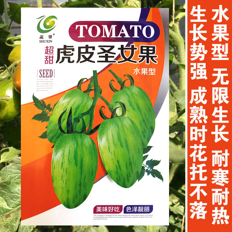 虎皮圣女果番茄种子小番茄种籽好吃特甜小西红柿籽春夏播蔬菜种孑