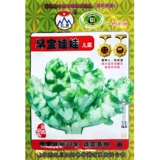 Специальные специальные продукты для семян детских семян детских растительных семян, четыре сезона, семена семян, куклы, семена горчицы, семена горчицы, овощи, осень и зима