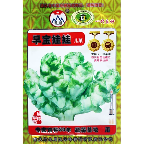 Специальные специальные продукты для семян детских семян детских растительных семян, четыре сезона, семена семян, куклы, семена горчицы, семена горчицы, овощи, осень и зима