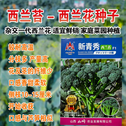 西兰苔种子小西兰花芦笋青花菜西洋芥兰笋秀兰芥蓝籽四季播蔬菜籽