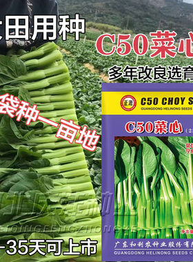 正源C50F1新西兰粗油青菜心种子50-60天粗条迟花菜心叶柄短而肥厚