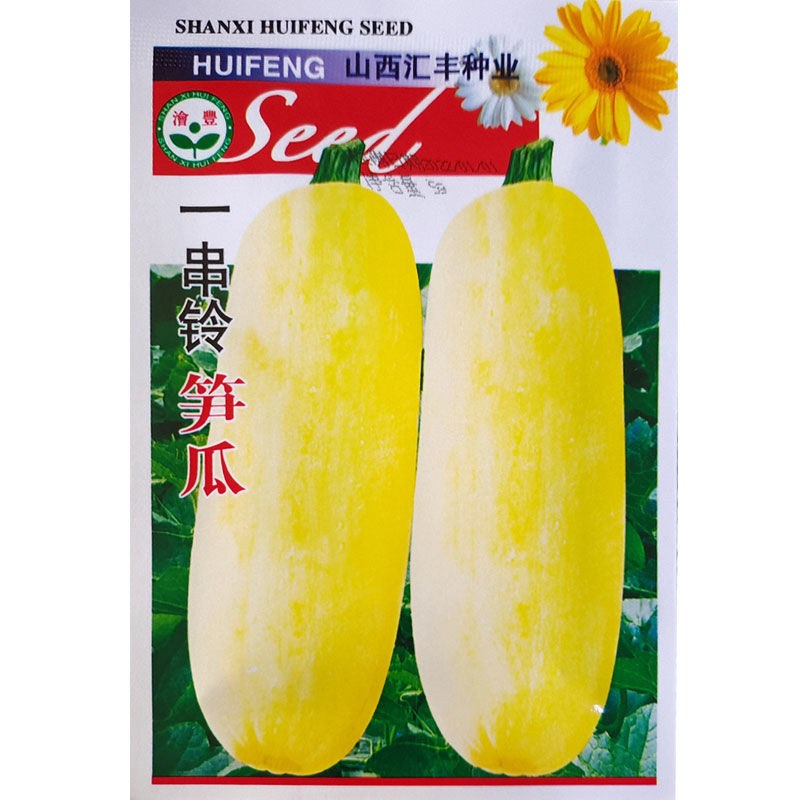 黄皮大笋瓜种子南瓜白玉瓜
