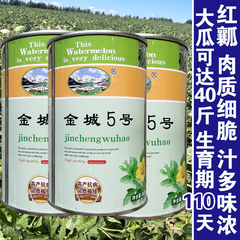 金城5号西瓜种子黑皮红瓤西瓜种籽高产特大巨型西瓜种子水果种孑