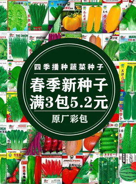 蔬菜种子大全任选简单易种植