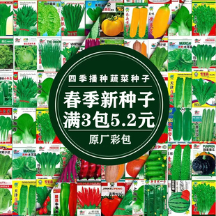 四季蔬菜种子套餐香葱小白菜生菜香菜心阳台菜种籽孑大全春季播秋