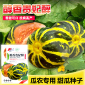 甜掉牙香瓜种籽甜瓜种子超甜花皮酥脆甜瓜农家田园四季 播水果种孑