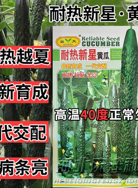 黄瓜1级良种耐高温春秋播绿肉