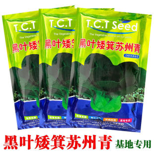 黑叶矮箕苏州青油菜种子矮脚小白菜青菜油菜种籽春季 蔬菜种孑 夏季