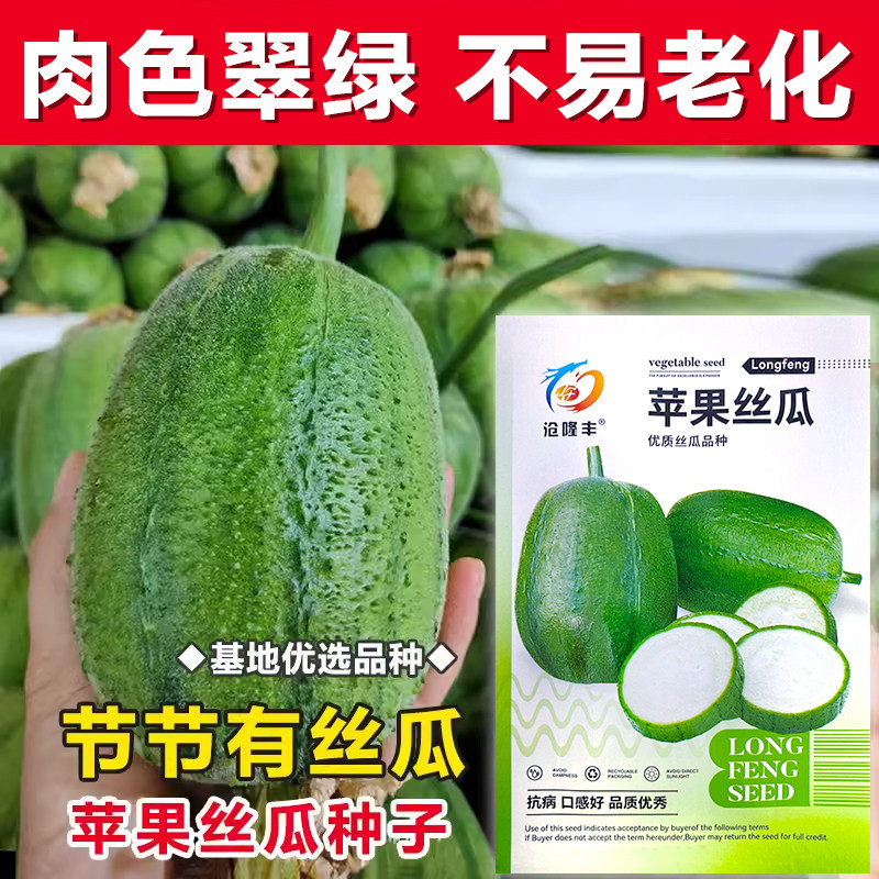 台湾苹果丝瓜种子菜瓜种籽子盆栽籽种蔬菜四季菜籽孑菜种水瓜高产