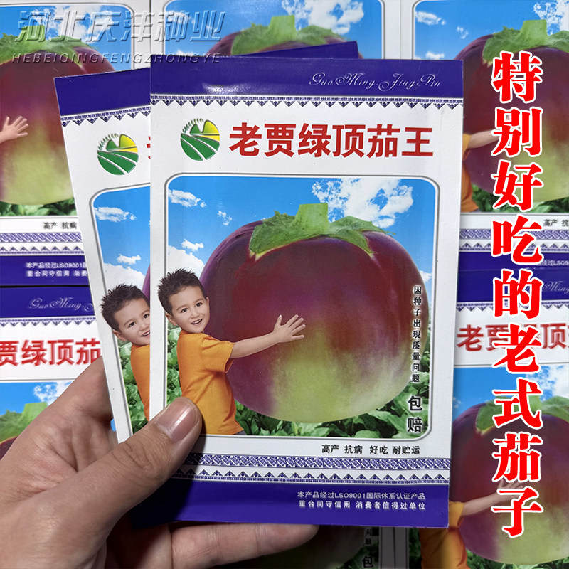 传统老品种绿顶茄王茄子种子蔬菜种子好吃老茄子品种红皮圆茄子籽