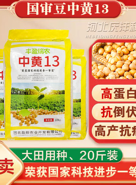 黄豆种籽高产基地用大粒抗病
