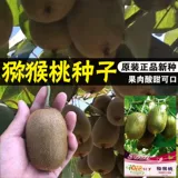 Семена Киви Зеленый Сердце Киви Семена фруктовых деревьев Киви Семена деревьев легко сажать и жить семенами фруктовых деревьев киви легко сажать и жить