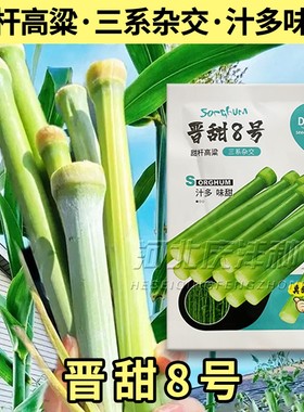 8号甜杆种子甘甜多汁四季播种