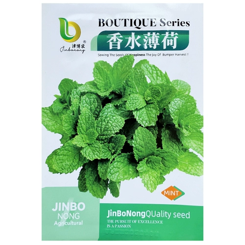 Семена парфюмерной мяты многолетние, их легко выращивать в любое время года. Семена съедобной мяты, семена цветов, цветы в горшках, семена цветов растений.