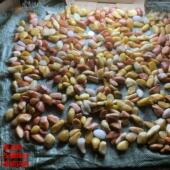 新疆克拉玛依金丝玉 300块钱 可选 23号 10千克 宝玉缘