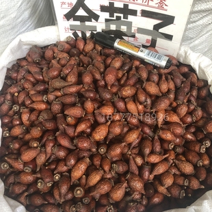 金樱子野生泡酒泡茶农家金樱子干中药材泡酒料养生500克 包邮