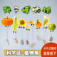 幼儿园植物自然角种子主题博物馆科学区墙面环创装 饰大班区域材料