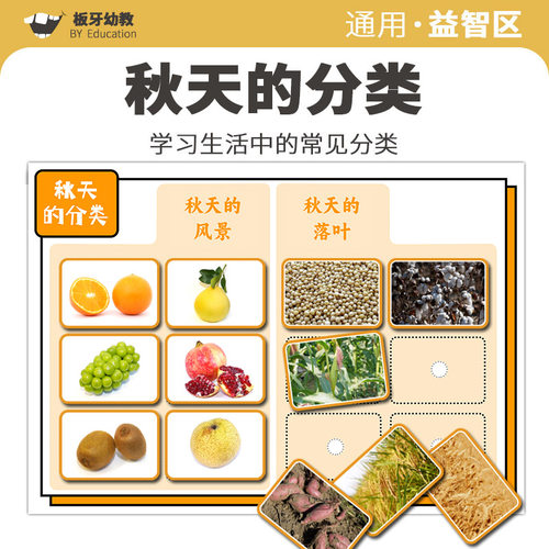 幼儿园物品分类秋天中班益智
