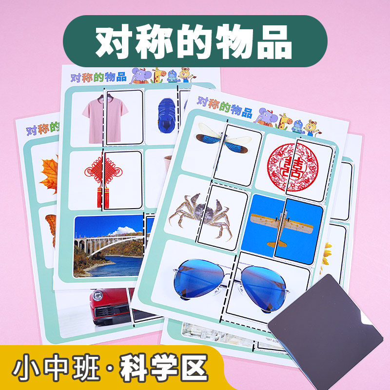 对称镜子里的物品分类卡片幼儿园小中大班活动材料益智教具启蒙卡