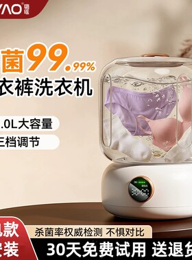内衣内裤专用小型洗衣机清洗机