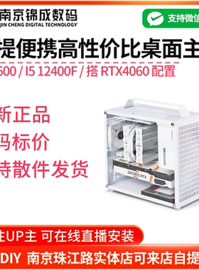 12400F/14400F/4060/6750GRE10G手提便携游戏DIY组装台式机整主机