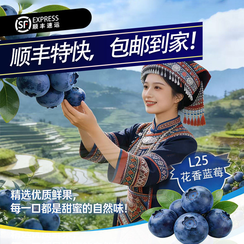 云南“育溪”L25花香蓝莓 精选新鲜水果顺丰包邮