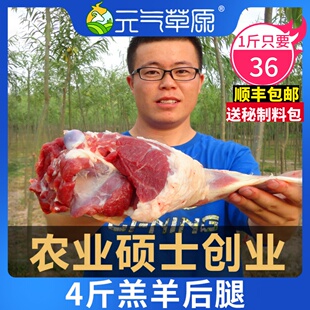 羊后腿肉羊腿新鲜羊肉羊腿鲜羊肉生羊肉羊腿羊肉 4斤羊肉新鲜 包邮