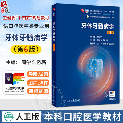牙体牙髓病学 第6六版 周学东 陈智 主编 十四五规划教材 全国高等学校教材 供口腔医学类专业用 9787117382397人民卫生出版社