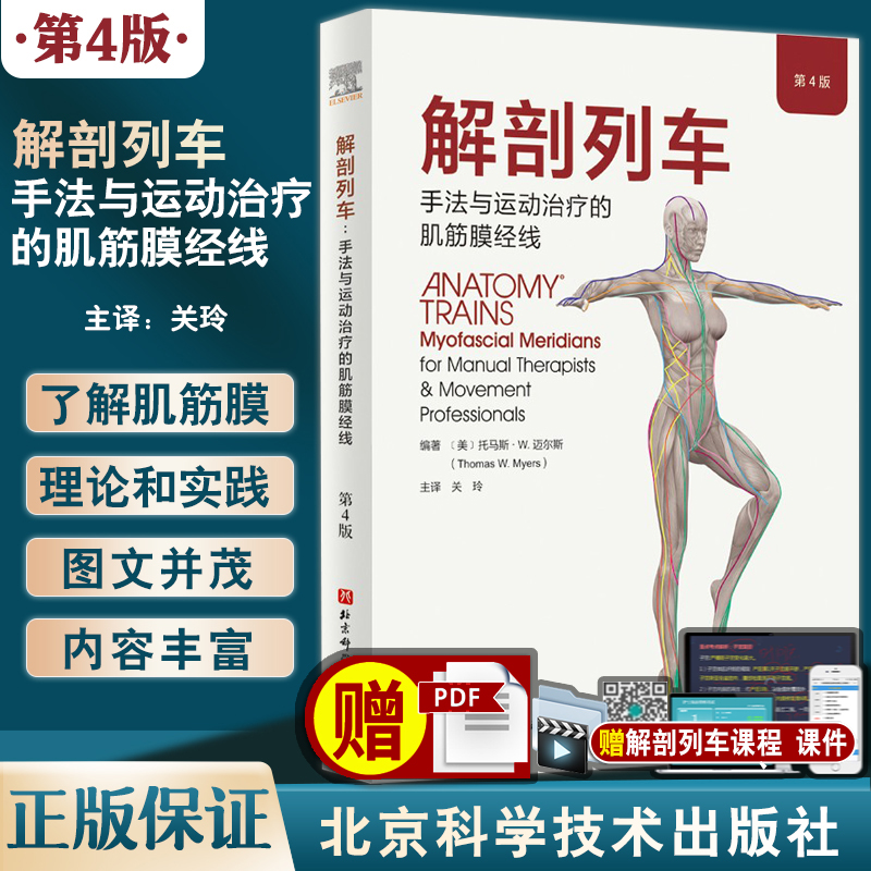 解剖列车 徒手与动作治疗的肌筋膜经线 第四版 第4版 关玲黄龙祥图谱模型书籍医学基础教材工具人体解刨彩色肌肉功能测试全书奈特