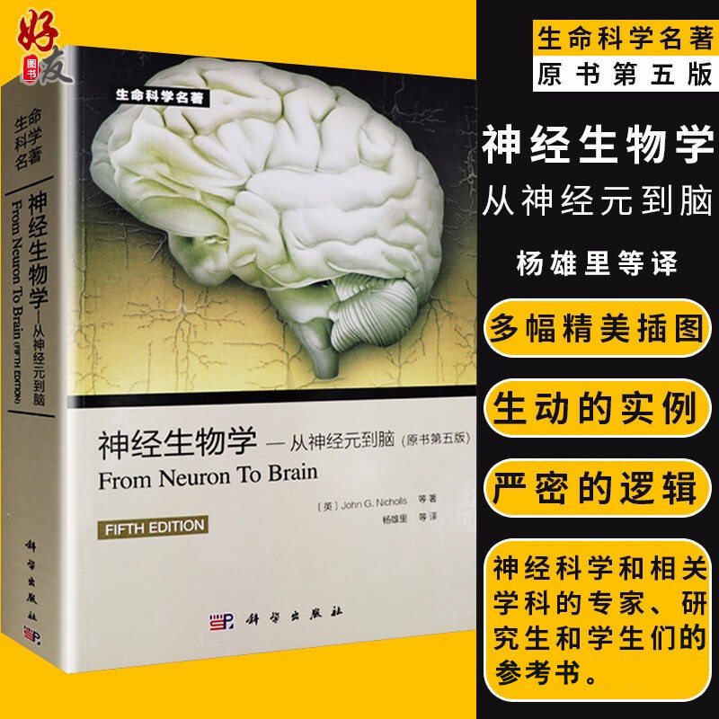 正版 神经生物学从神经元到脑 原书第五版 意 尼克尔斯尼,杨雄里译