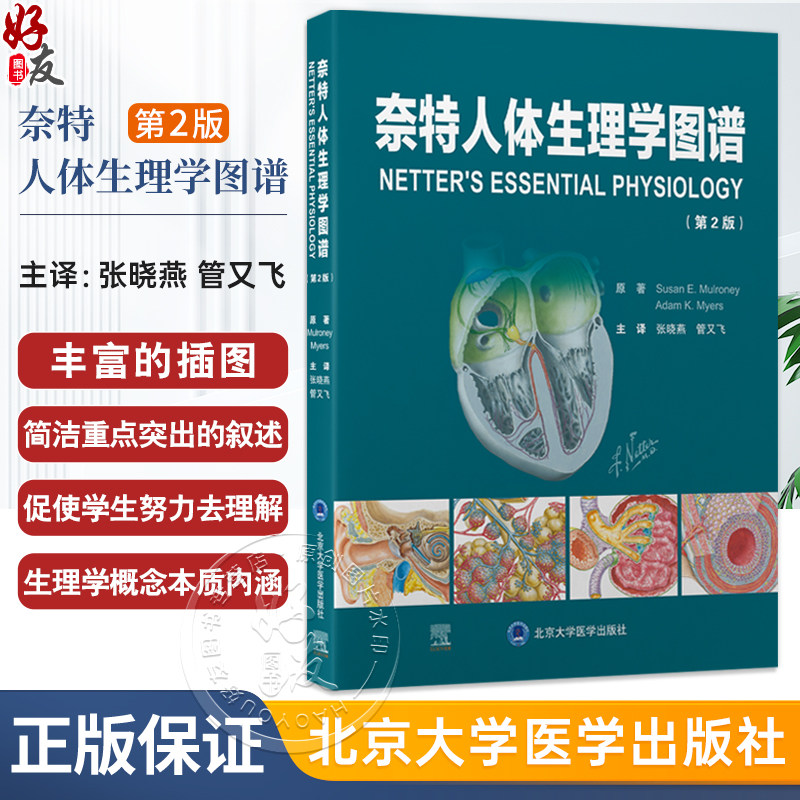 奈特人体生理学图谱 第2二版 张晓燕 管又飞 以丰富的插图和简洁重点突出的叙述帮助读者理解生理学概念的本质 北京大学医学出版社