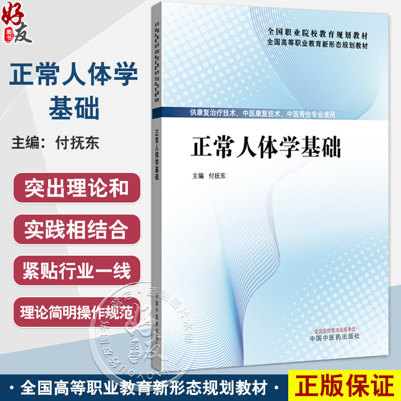 正常人体学基础 付抚东 主编 全国高等职业教育新形态规划教材 供康复治疗技术 中医骨伤专业使用 9787513295369中国中医药出版社