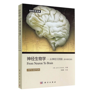 正版 神经生物学从神经元到脑 原书第五版 意 尼克尔斯尼,杨雄里译 生命科学 生物学心理学和医学参考书教辅书籍神经细胞科学基础