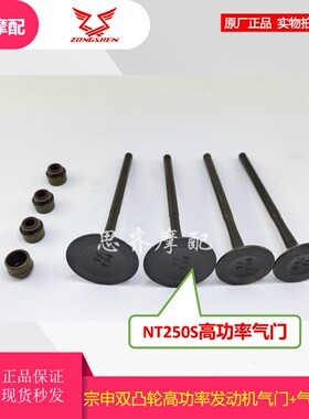 华洋K6R高低功率 宗申NC250S NT250双凸轮款 气门 进排气门 油封